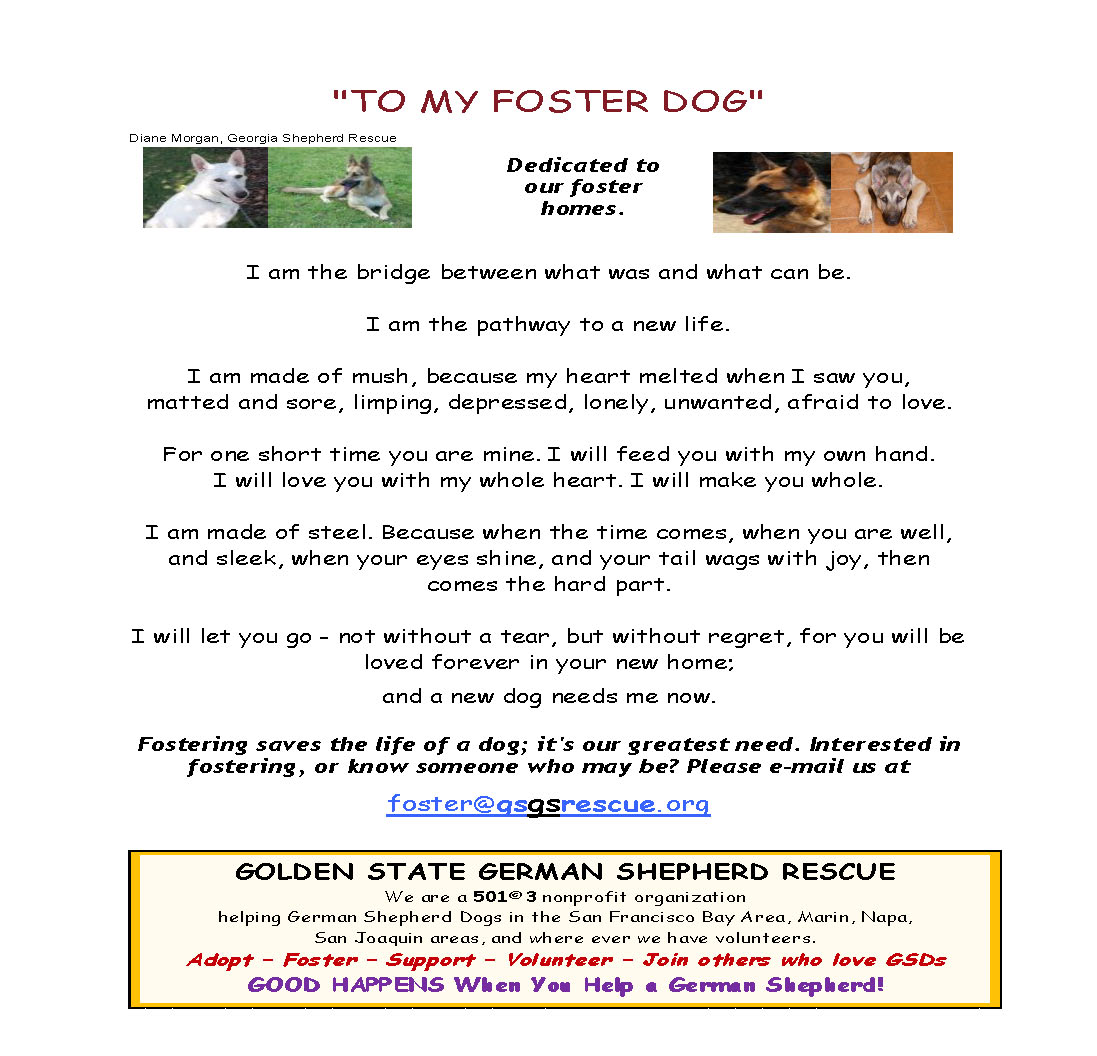 'To My Foster Dog' flier